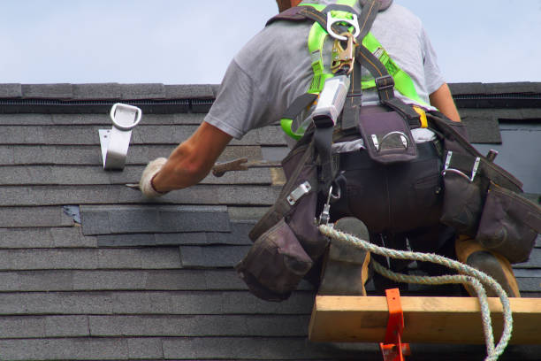 Best Roof Gutter Cleaning  in Buena Vista, VA