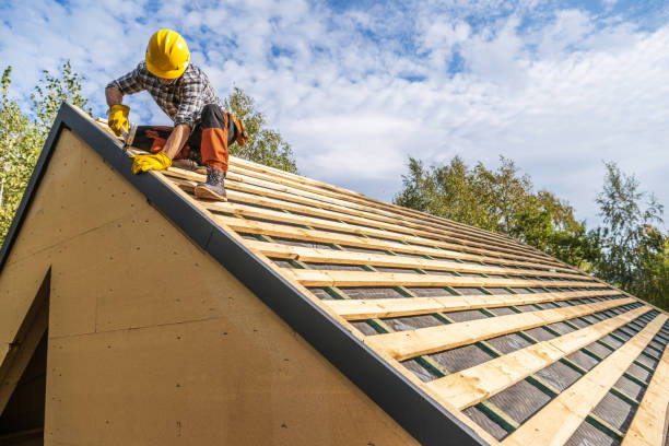 Best Roof Maintenance Services  in Buena Vista, VA