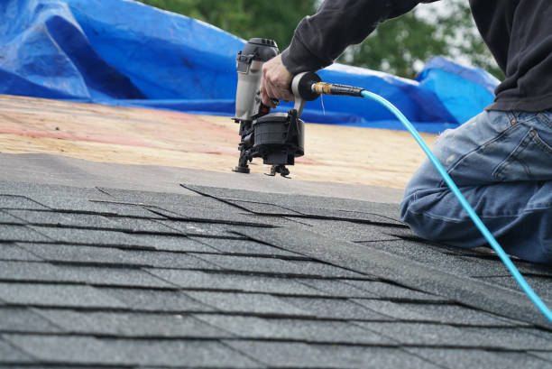 Best Storm Damage Roof Repair  in Buena Vista, VA