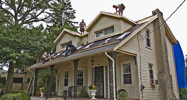 Best Roof Waterproofing Services  in Buena Vista, VA